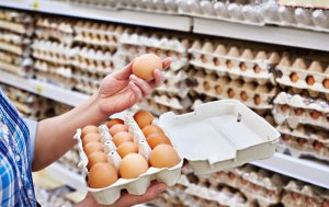 Чиновники обещают снижение цен на яйца