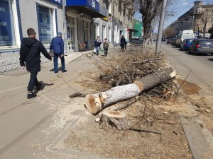 На Горького рубят здоровые деревья
