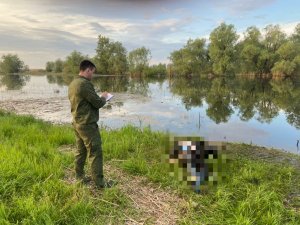 В реке обнаружено тело пропавшего 2 мая рыбака