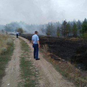 Из-за возгорания на полигоне под Вольском вспыхнул лес