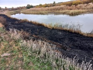 В Краснопартизанском районе при поджоге камыша погиб мужчина