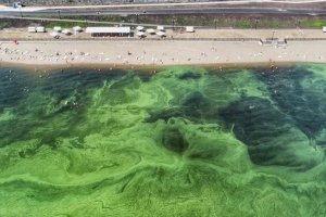 МУП «Водосток» уличили в загрязнении Волги в районе нового пляжа. Ему выставили претензию на 4 млн рублей