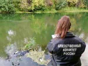 В Медведице обнаружено тело ушедшего на рыбалку мужчины