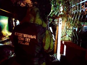 В Увеке на пожаре погибли женщина и двое детей