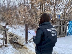 В Новозенске на пожаре и-за неисправной проводки погибла женщина