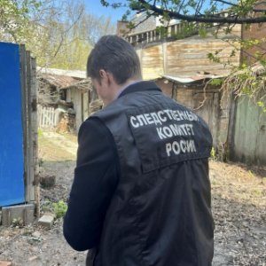 В Саратове возбуждено новое уголовное дело после нападения бродячих собак на людей