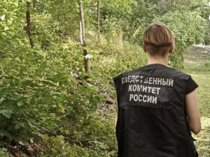 В Саратове от нападения бродячих собак пострадали мальчики четырех и 14 лет