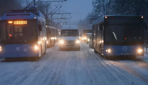 В Саратове 3 автобусных маршрута переведут на брутто-контракты