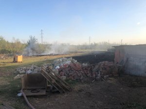 На пожаре в приюте "Верность" погибли 9 собак