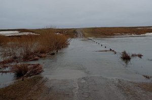 Паводок. Закрыто движение по мосту через реку Камелик