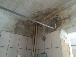 В общежитии на Посадского из-за бездействия СТСЖ почернели потолки