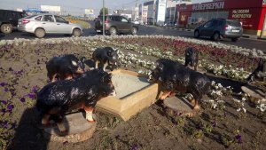В Саратове клумбу украсили фигурками свиней