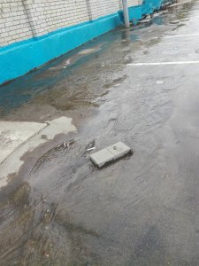 Саратовец: власти третью неделю «не замечают» коммунальную «реку» в Ленинском районе