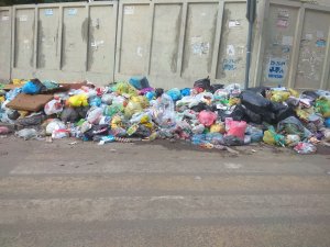 В Саратове обнаружен «мусорный» пешеходный переход