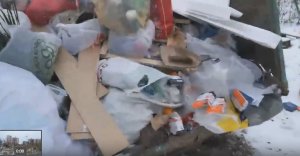 Жители Юбилейного «объявили охоту» на разбрасывающих пакеты с мусором горожан