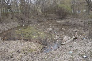 Саратовский пруд утопает в мусоре