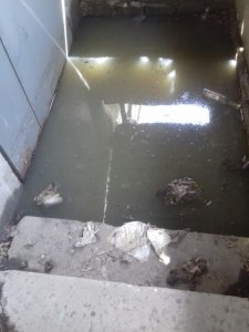 Жители дома жалуются на затопленный фекалиями подвал