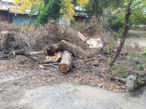 Двор на 50 лет Октября 2 месяца завален деревьями