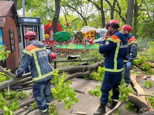В саратовском горпарке упавшее дерево убило женщину и ребенка